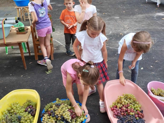 383842228_10223451053005222_5662650435355869298_n